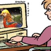 armchair birder profile image