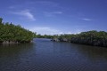 Fishing the Florida Everglades, with Tarpon Fly Fishing Video