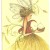 fairy fairy
