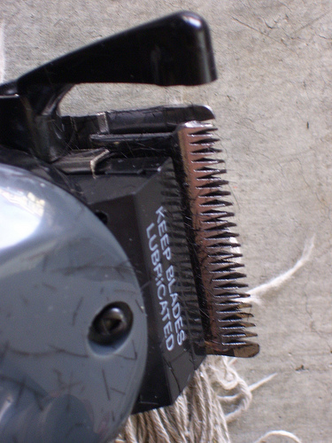 Hair Clippers