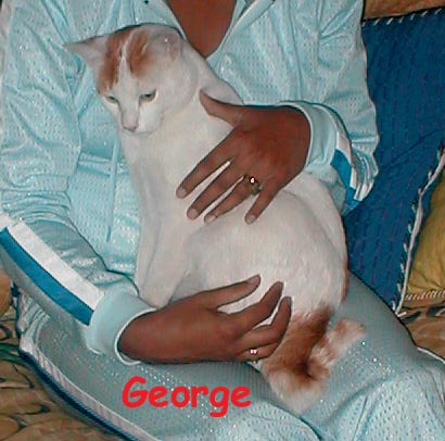 George arrived to relieve our wedding dinner reception stress 