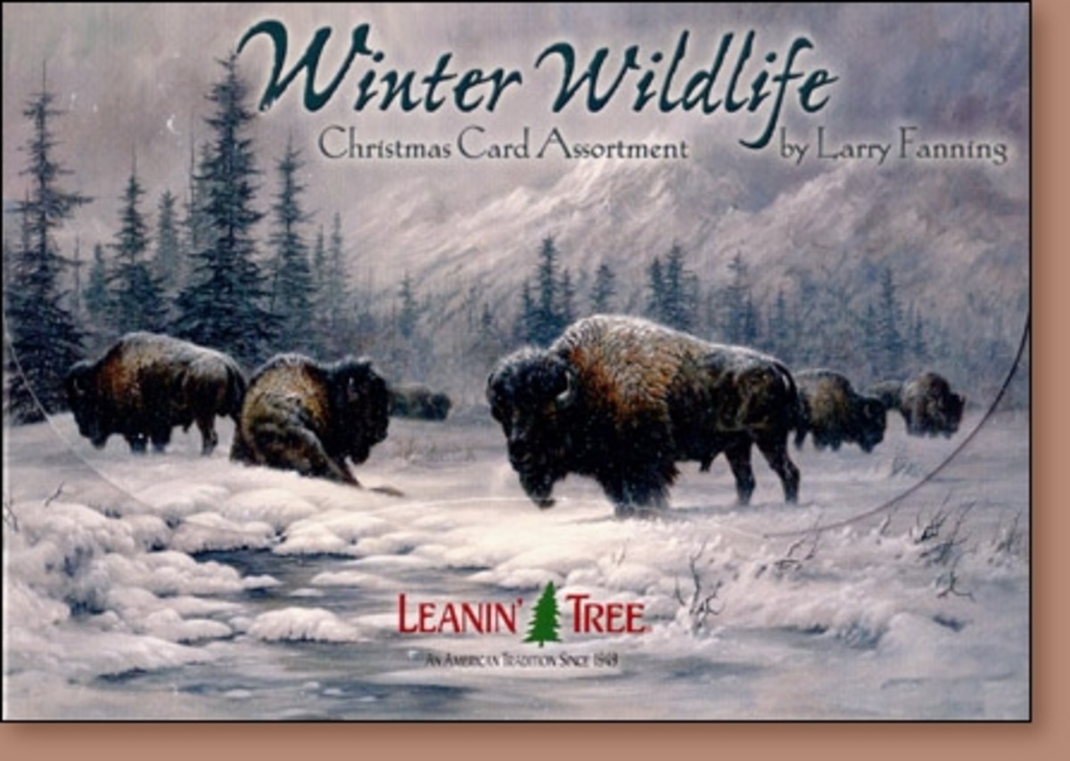 Wildlife Christmas Cards | hubpages