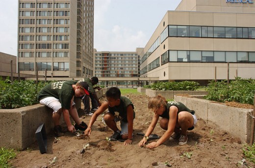 7. Greig Cranna / The Food Project/Farming on the Roof  The nonprofit Food Project works to achieve both social and agricultural change by bringing together kids from diverse backgrounds to farm several lots in urban Boston.
