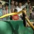 Snake park -Chennai Snake park -Chennai