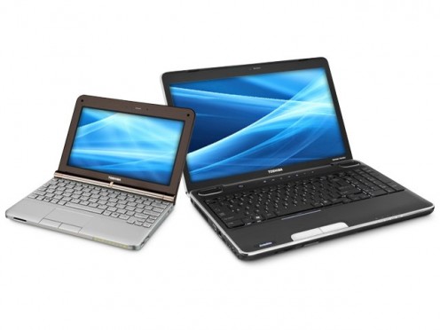 In the netbook vs. laptop saga, which one will you choose?