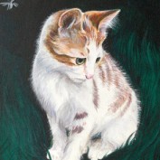 pet portraits profile image