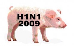 Swine Flu Vaccine Dosing