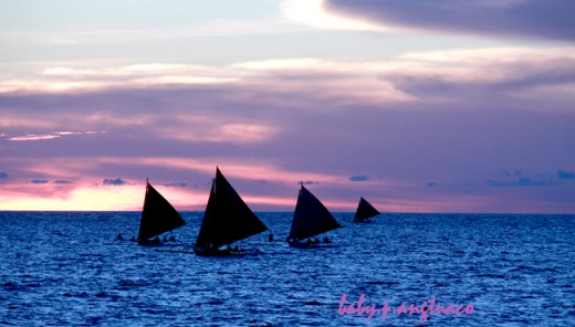 sailing as captured during the golden hour