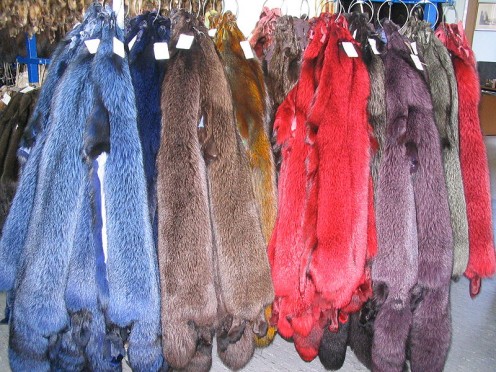 Today, one can use furs to look fat and of an unnatural color at the same time.
