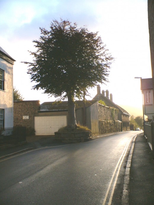 Moretonhampstead, The Dancing Tree