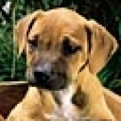 Niches2Go profile image