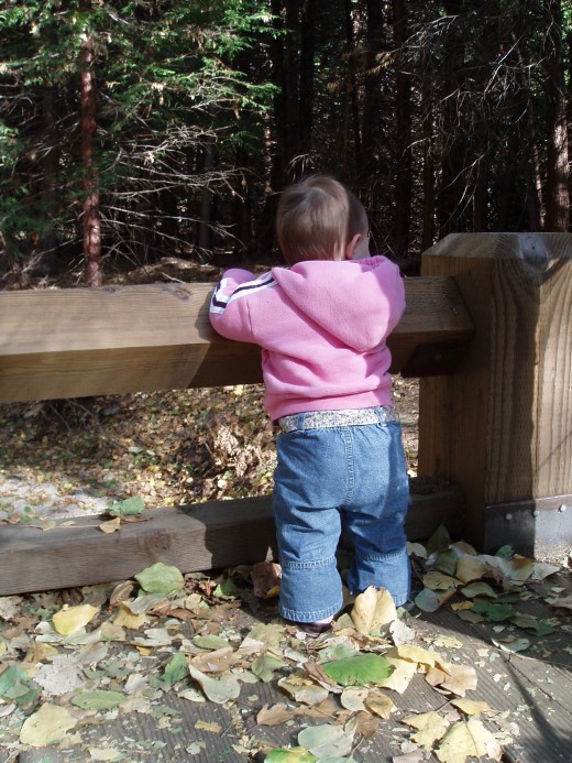 We treasure each moment as we prepare them for the day they leave home!