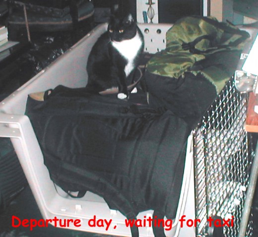 Diji got so used to having our stuff in his space, he thought he might come with us