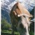 happy cows come from Switzerland happy cows come from Switzerland