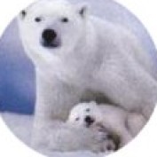lindseybby17 profile image
