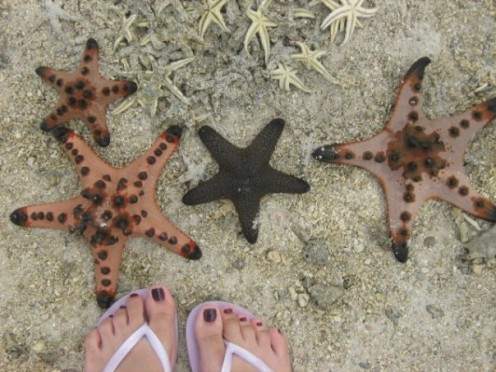 God has created wonders in this world. . .