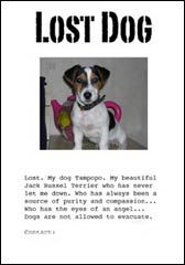 Create a poster for your Lost Dog