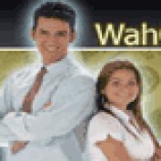 mpm411 profile image