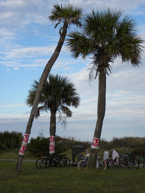 Beach concerts are great.  Park your bike, and walk up and listen.  All while enjoying the beauty of the beach.