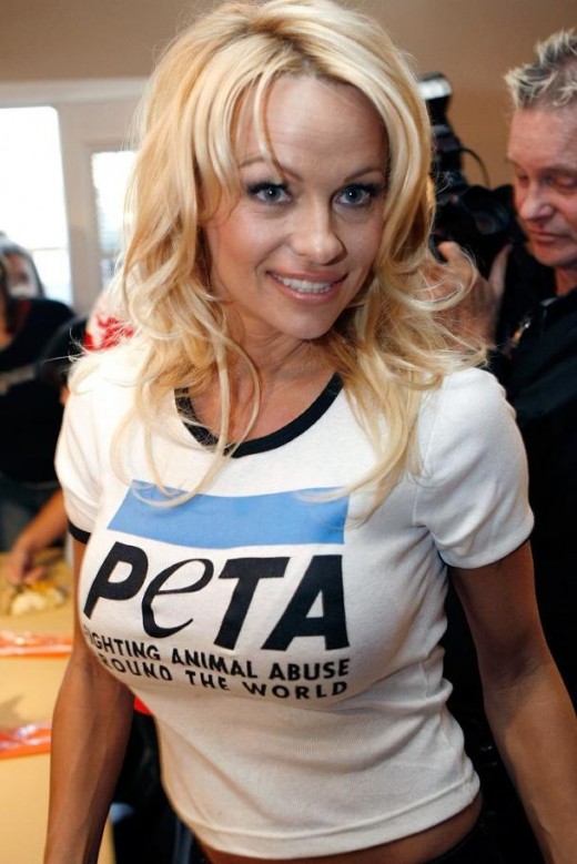 PETA Is At It Again
