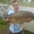 Common Carp Common Carp