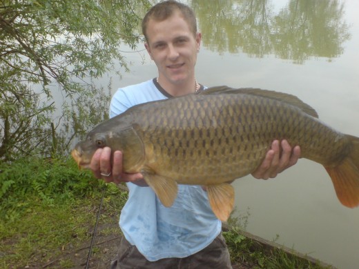 Common Carp