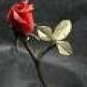 divakarkc profile image