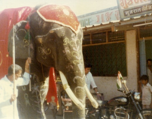 Baba's elephant