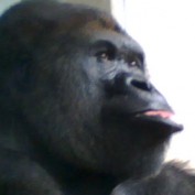 renmar profile image