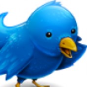 webmastergrace profile image