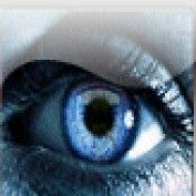 vobor profile image