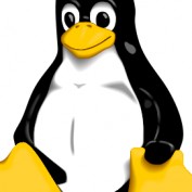 techwizard profile image