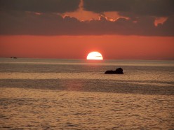 Easy Every Day Beauty Tips: Bring Out the Natural Beauty in You...