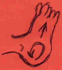 Feet and Heels: GENTLE massage in a circular motion the heels of the foot, while also pressing gently inward on the bottom of the foot, using your thumb. 