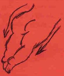 Outer Thigh:  GENTLE massage from the waist to the feet, when you arrive at the feet start again from the top, finishing the massage with soft slow movements.  