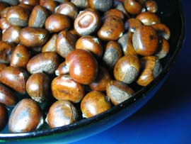 Castanas (http://www.marketmanila.com/archives/castanas-roasted-chestnuts)