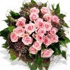 a1rosess profile image