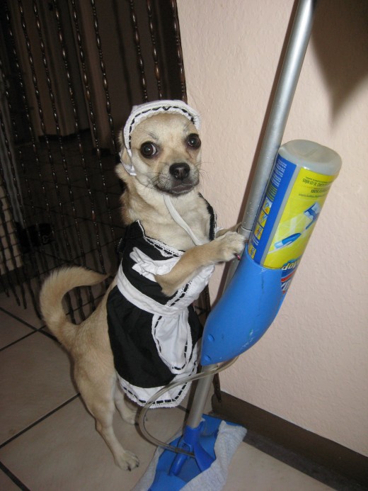 The costume is one thing but don't expect me to use this sweeper.