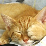 valery504 profile image