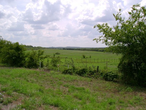 Typical Cross Timbers landscape.