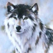 andrea520214 profile image