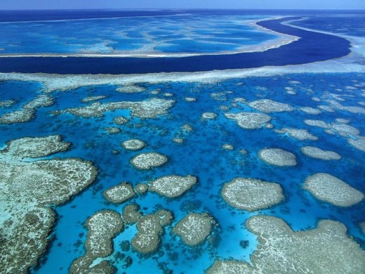 The unbelievable Barrier Reef 