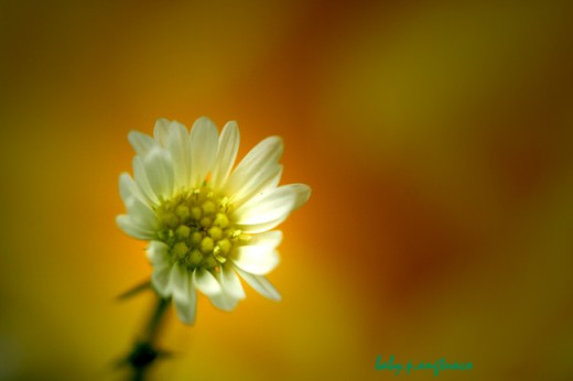 Hello world!