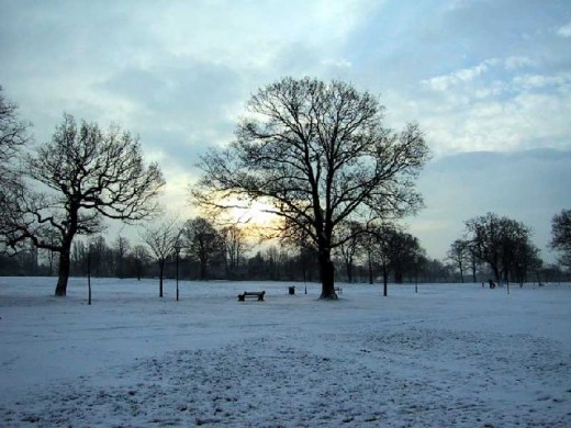 A Scene of Winter