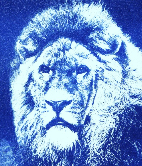 The Lion