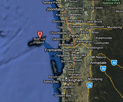 Google map showing where Rottnest Island is in reference to Perth 