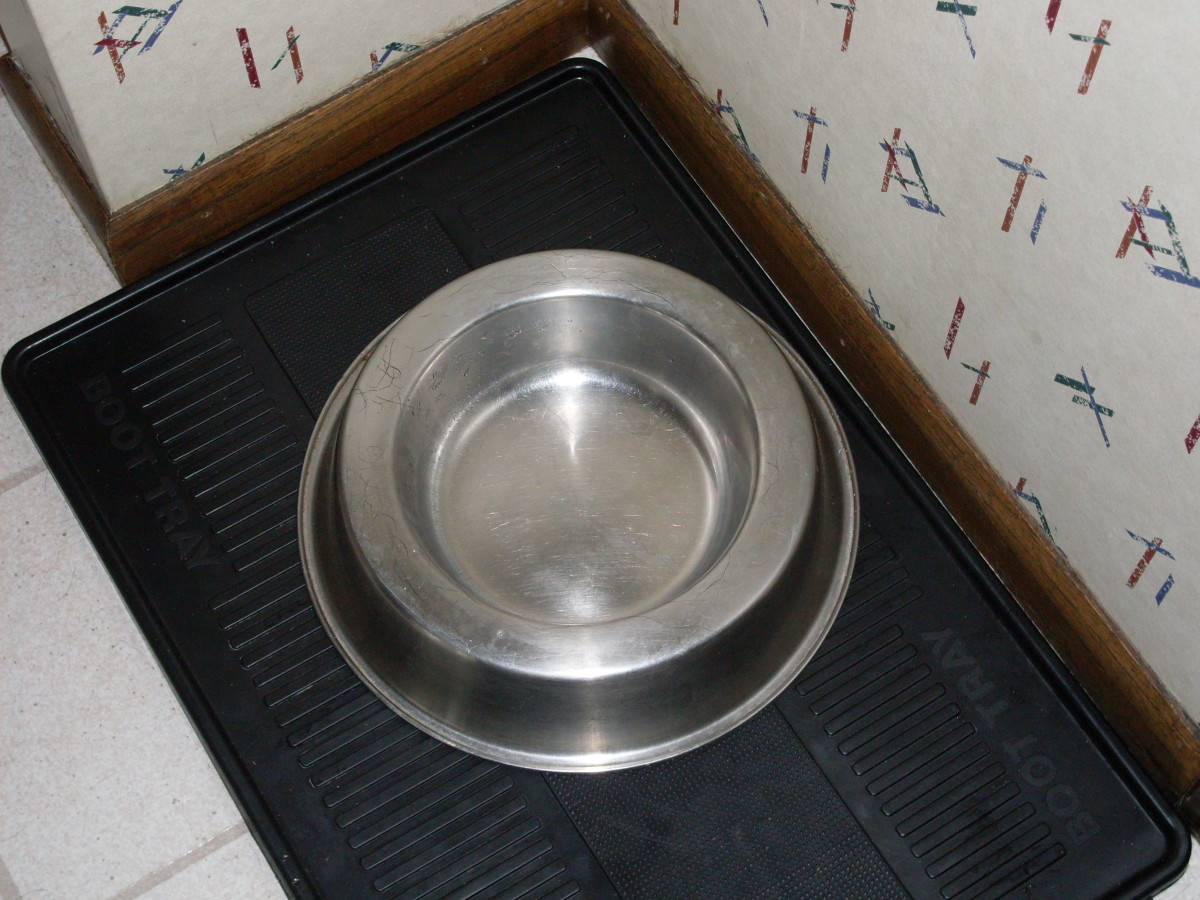 Right-side up dog dish.