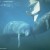 Manatees at risk from boats in the Everglades Manatees at risk from boats in the Everglades