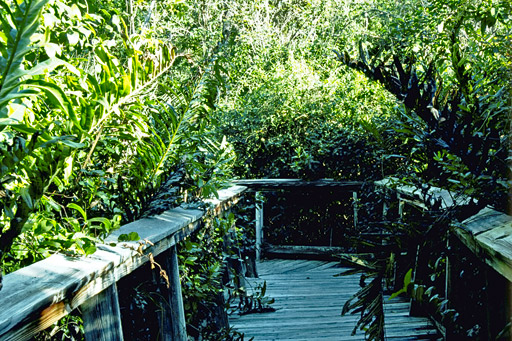 boardwalk trail