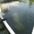 refreshed manatee swimming away refreshed manatee swimming away